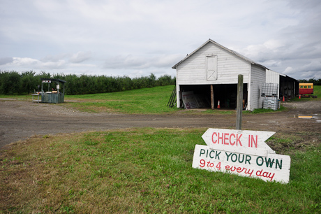 an old farm with a sign that says check in pick your own and a truck near by