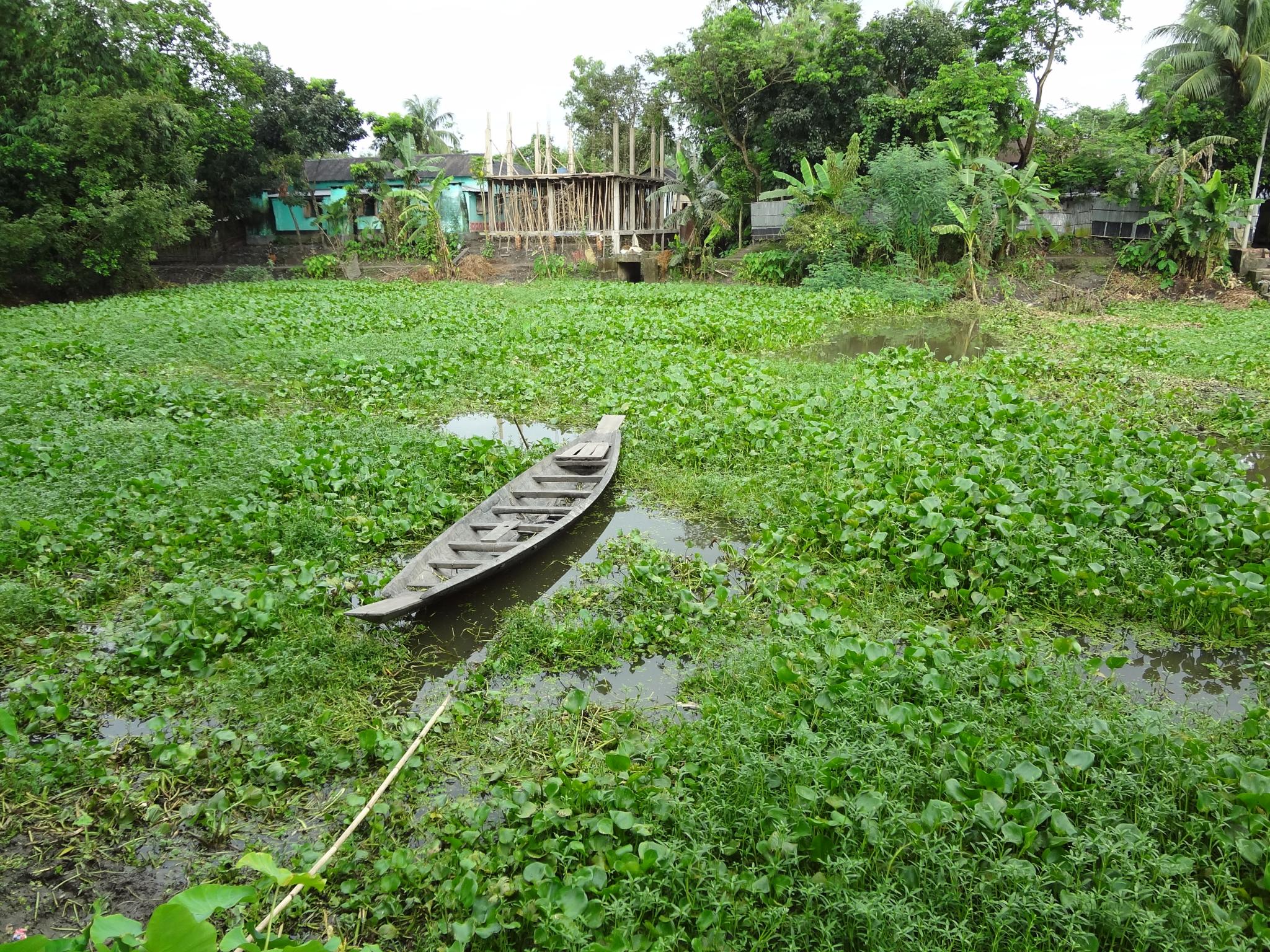 a boat is in the water on some grass