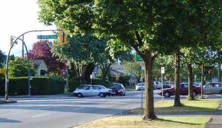 a tree lined street in the suburbs of an inner city