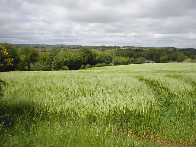an empty field of green grass with trees behind it