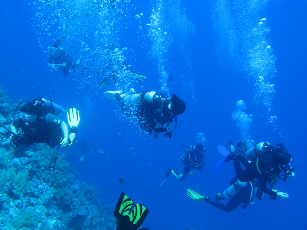 scuba divers are gathered in the blue water