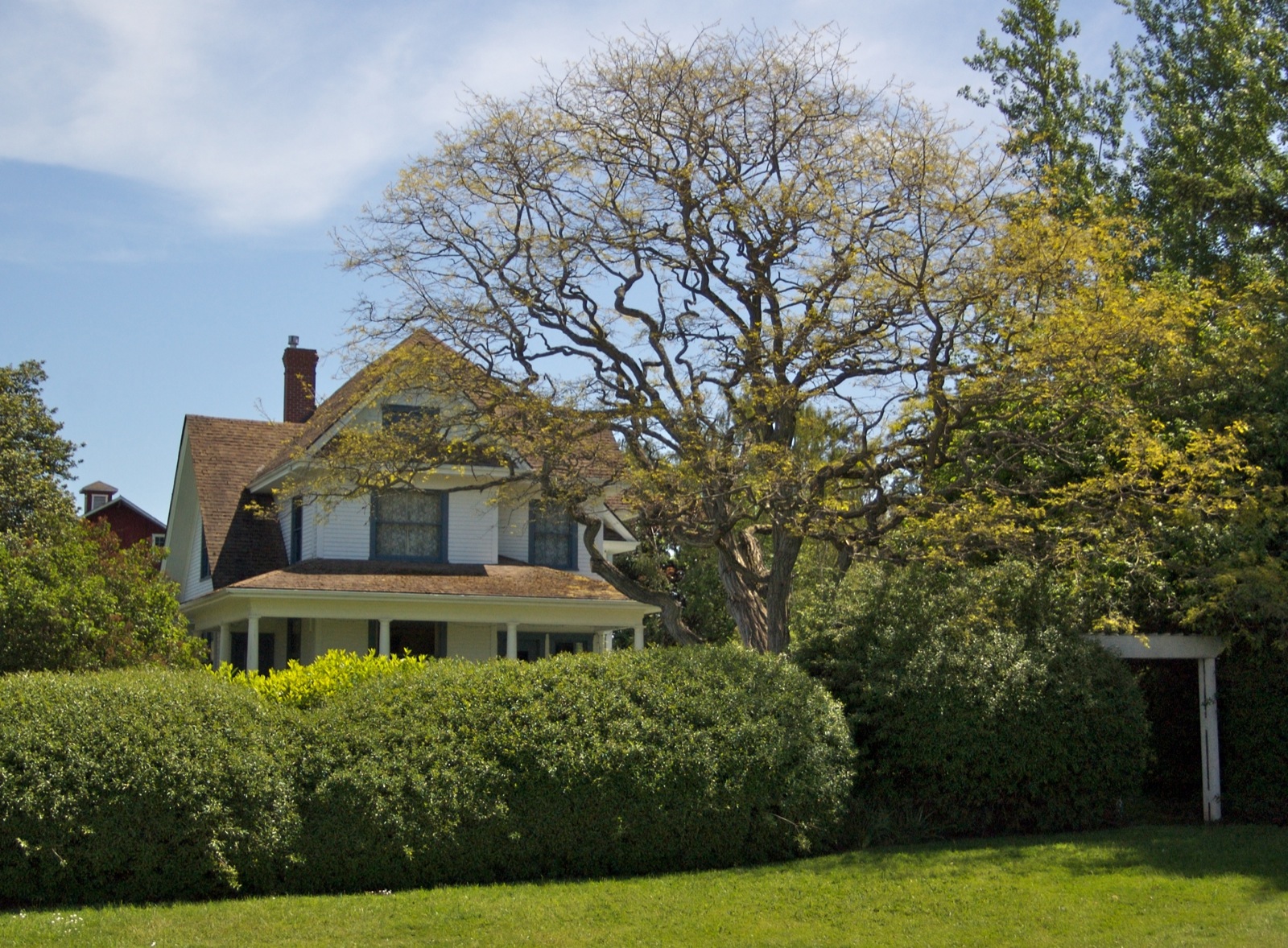 a house next to a hedged area and a tree