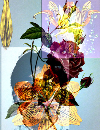 a bouquet of flowers in a multi - pane image