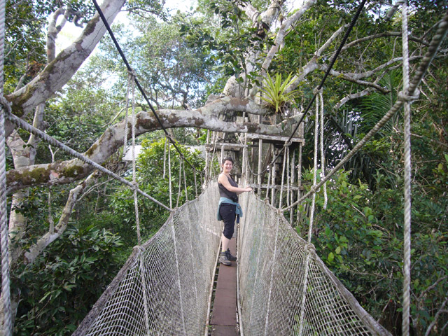 a man in black shirt on suspension walking through trees