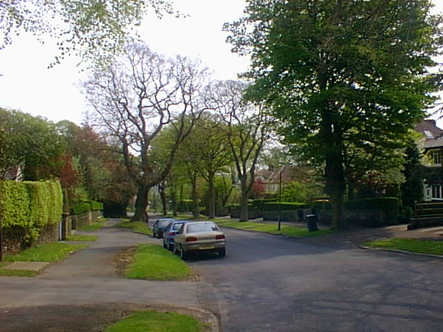 a car parked on a paved road near some trees