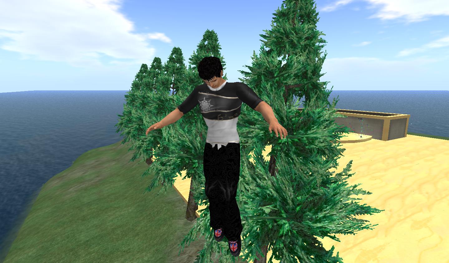 a person standing in a forest on a hillside