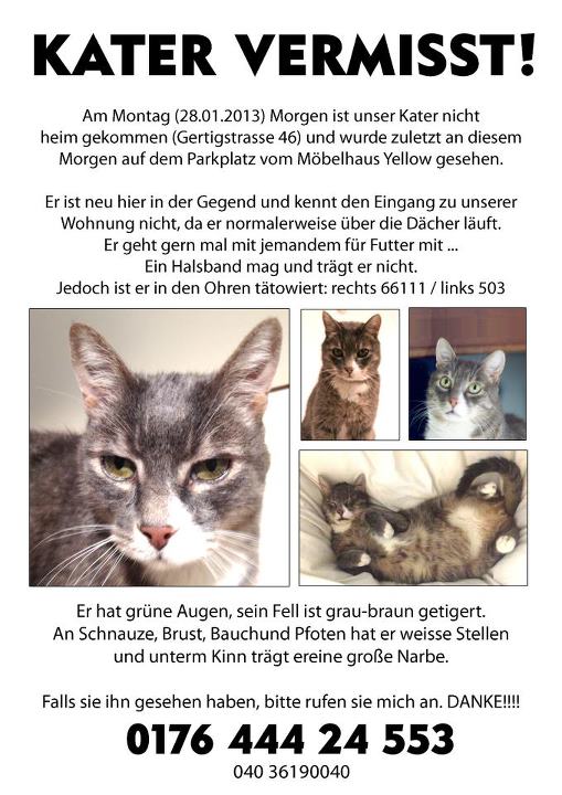 a poster with several cats and caption that says karter vermist