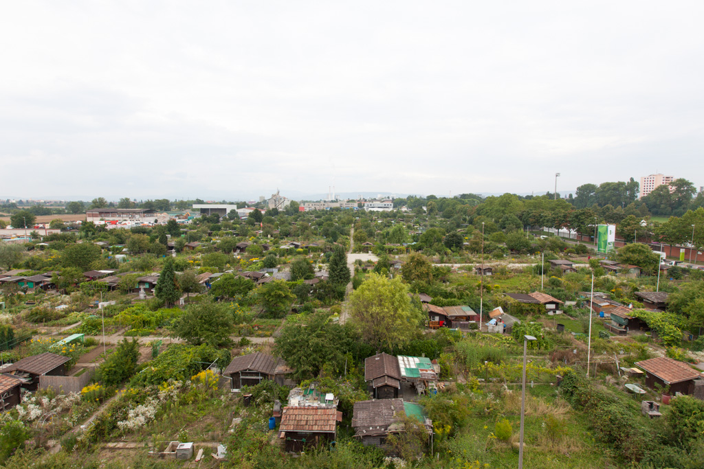 an aerial view of houses that are near the trees