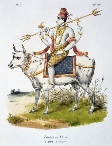 man riding on the back of cow in costume
