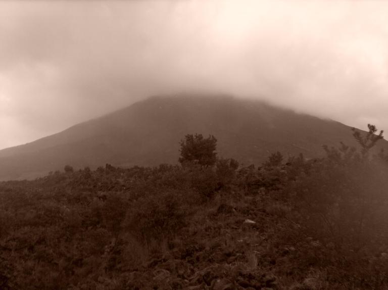 fog hanging over a large mountain near trees