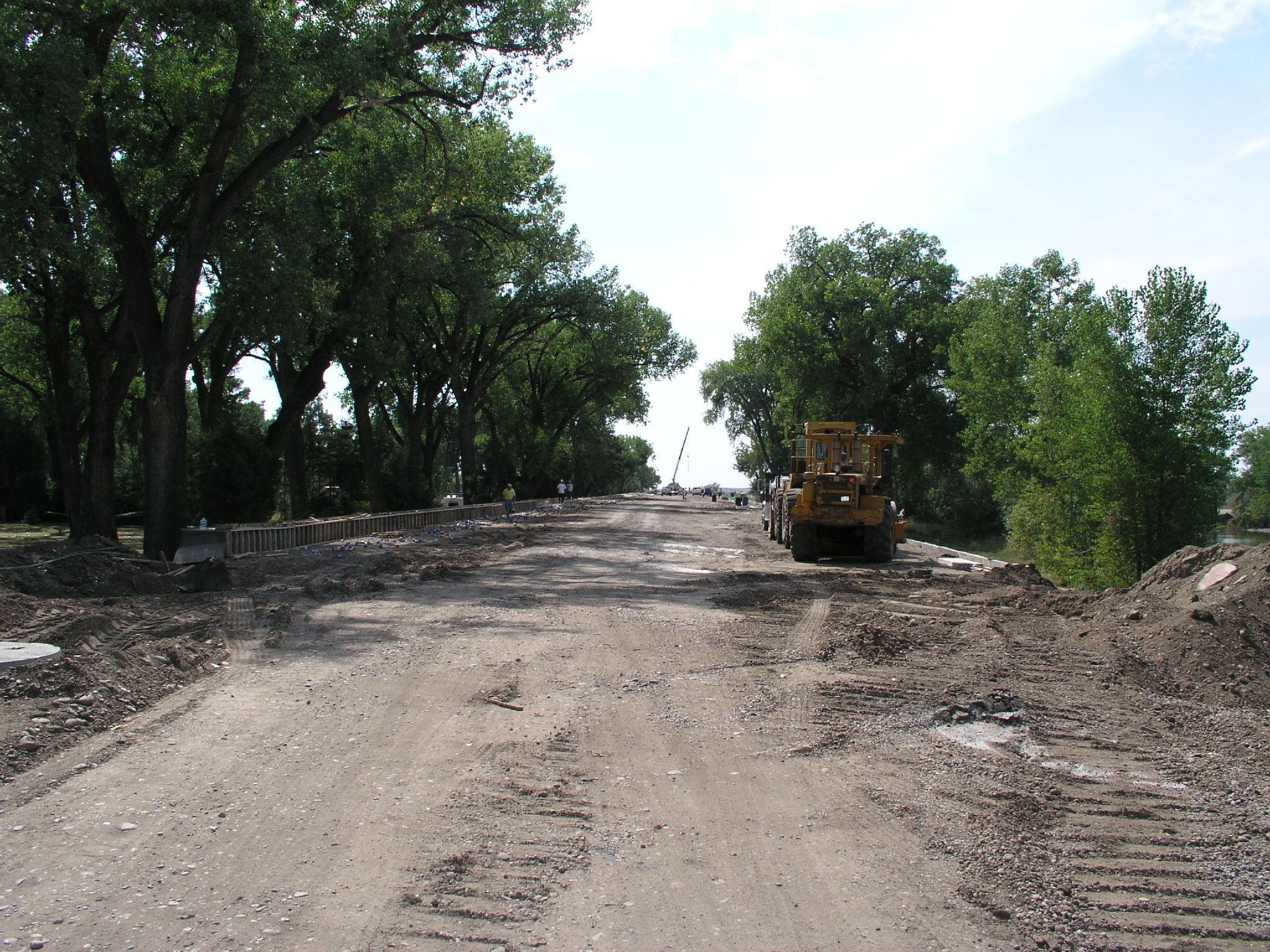 a dirt road being built around trees