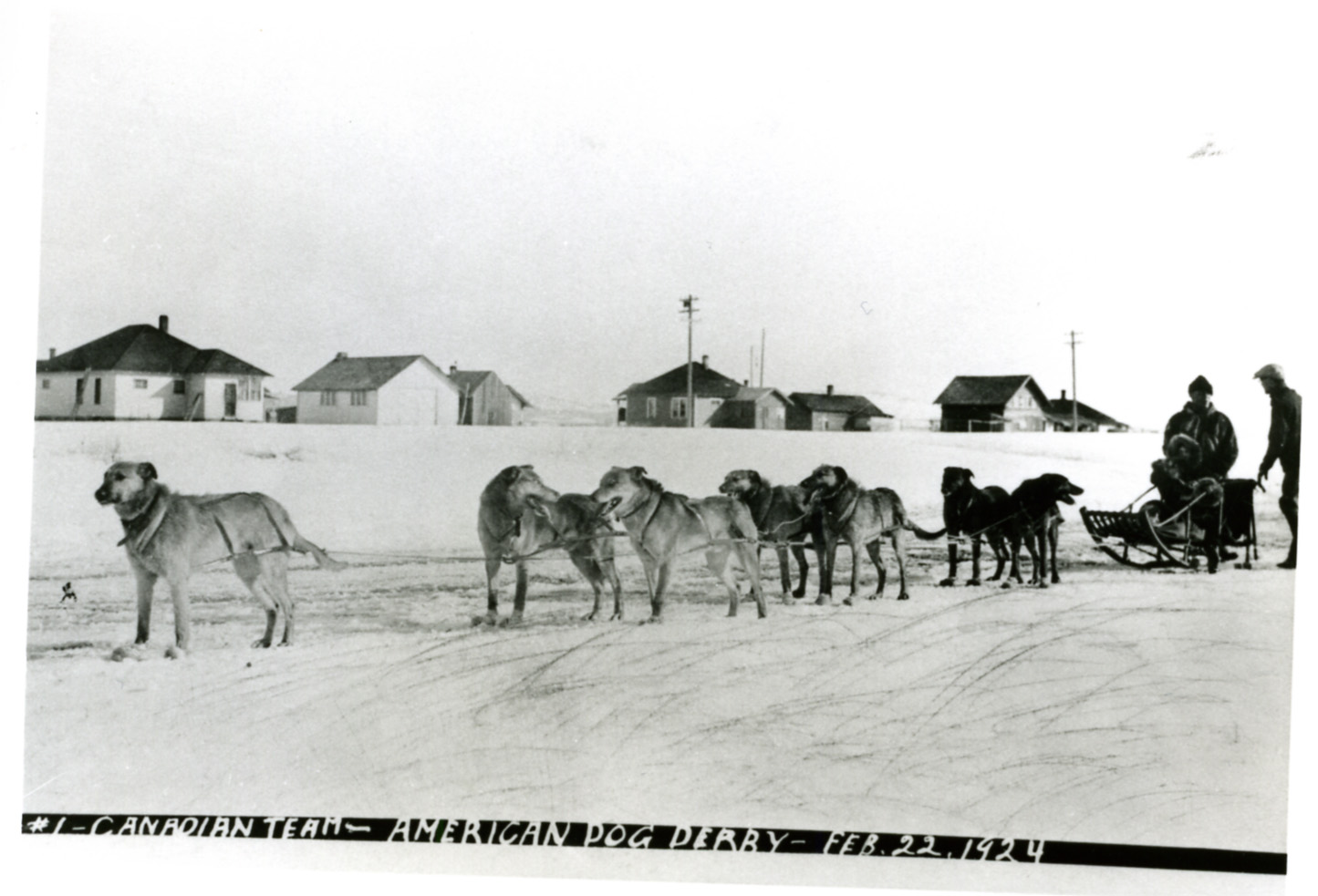 a black and white po of people, dogs and carts in front of their houses