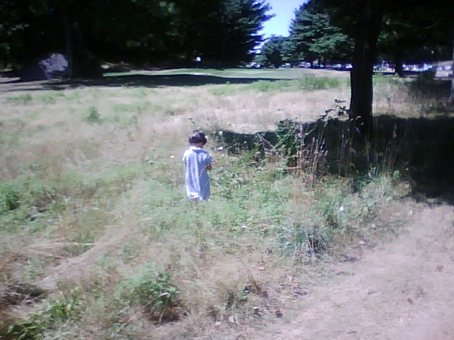 a person in a field with trees and bushes