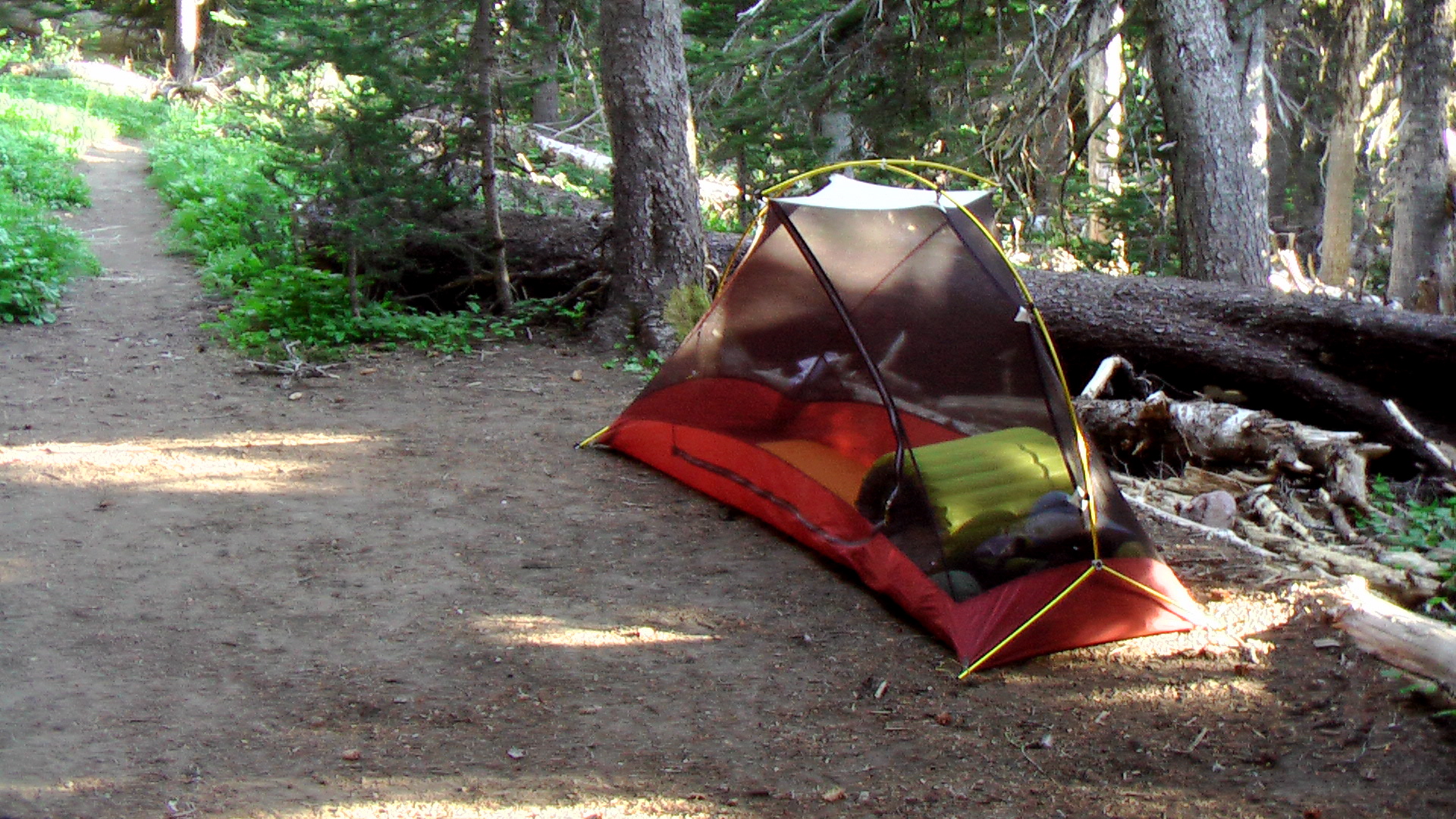 a red tent is pitched in the middle of the forest