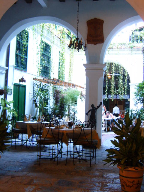 tables and chairs with plants in a patio