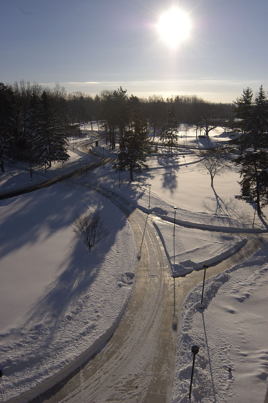 a path of snow and road are surrounded by the trees