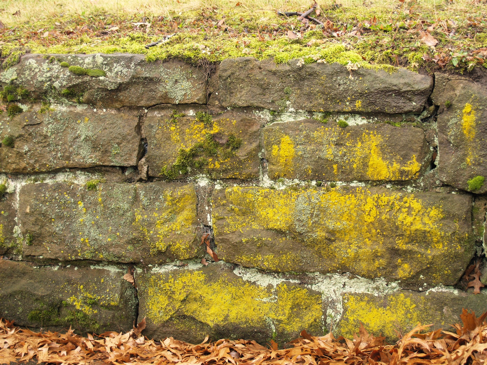 a close up of rocks with grass on the side of them