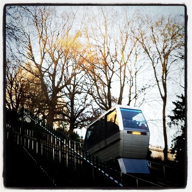 a trolley going up a slope near some trees