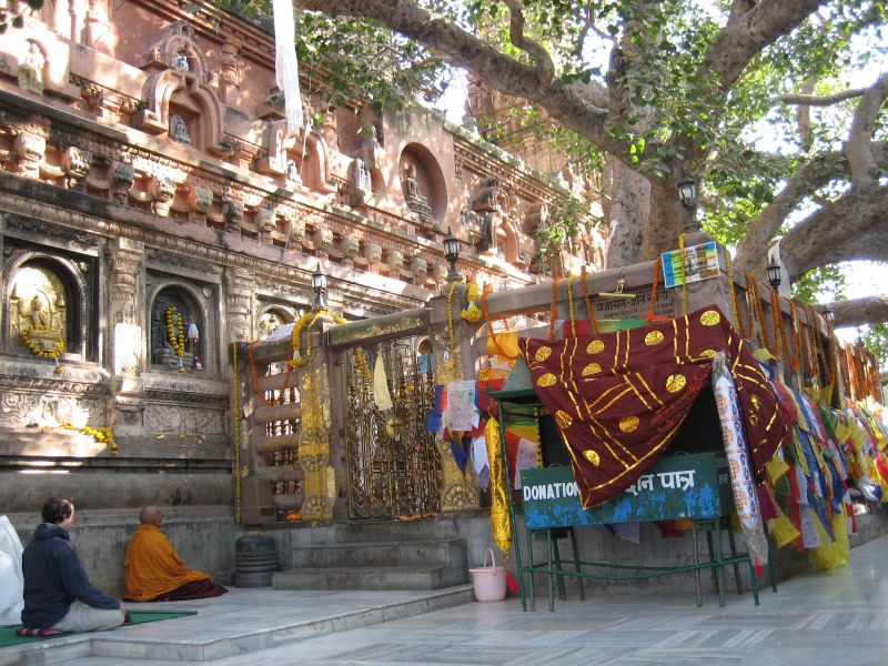 a couple sits in front of a large tree on the ground