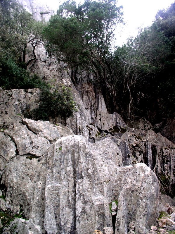 the view from below looking up at a cliff face