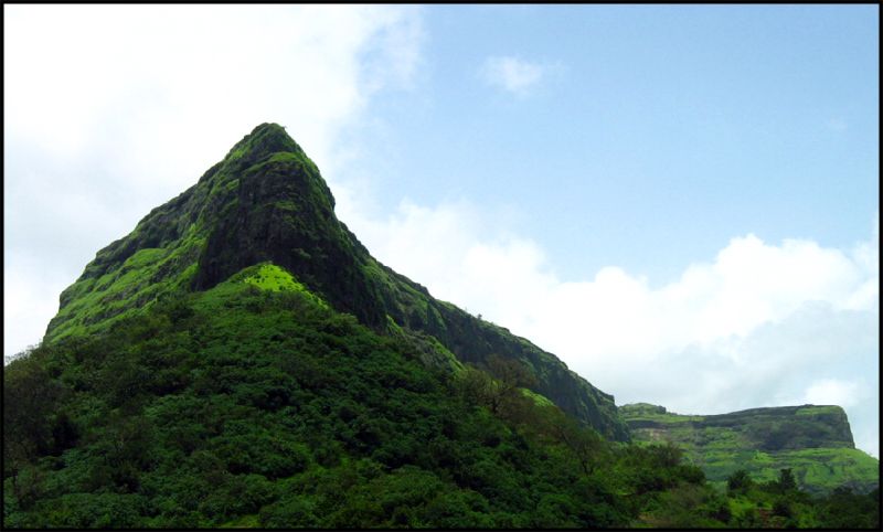 a grassy area has a mountain with green vegetation in front