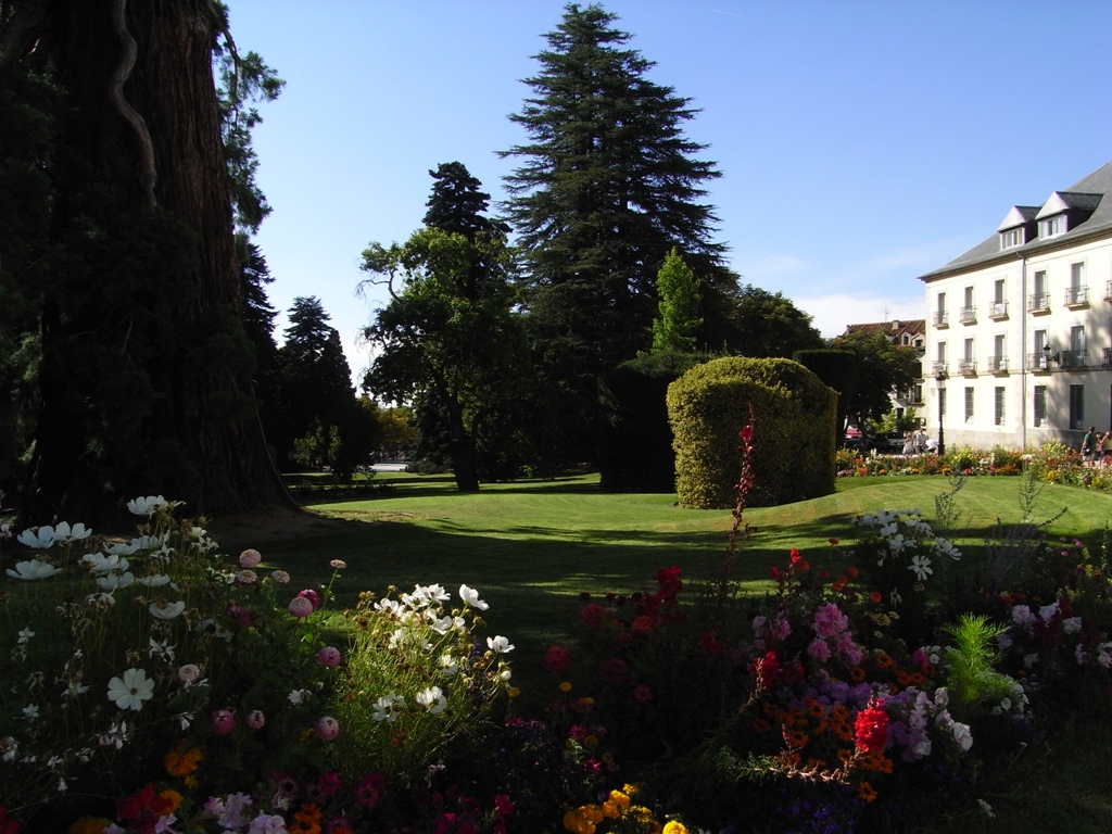 a garden with flowers, grass and trees around it