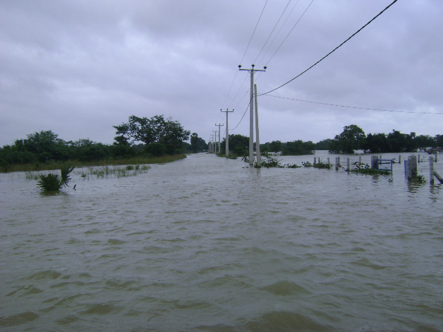 some telephone poles flooded by the water