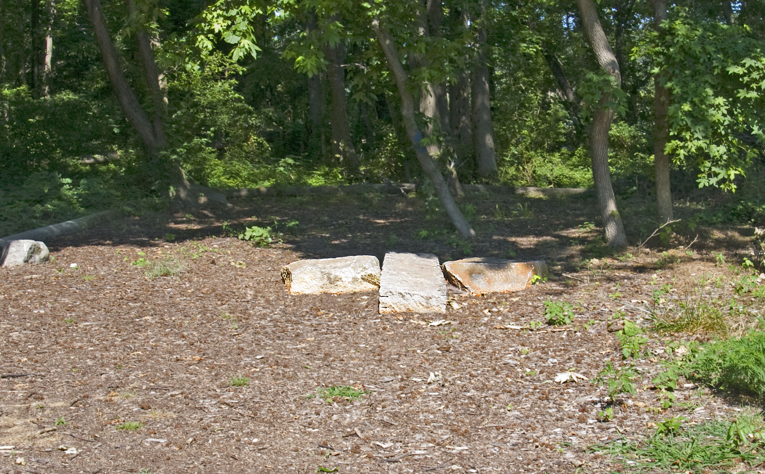 two pieces of rock and plants outside in the shade