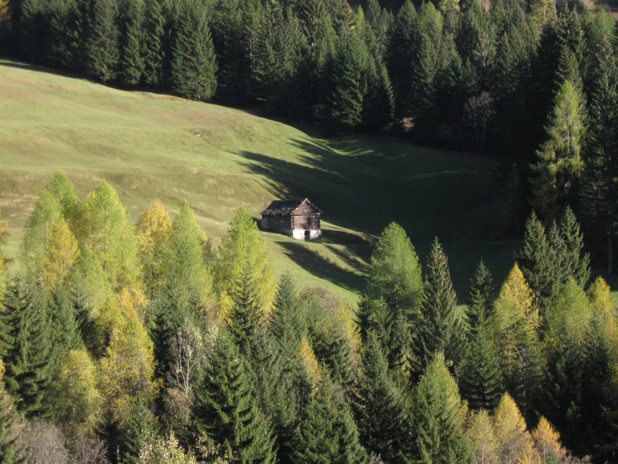 a small house sits alone on the side of a wooded hill