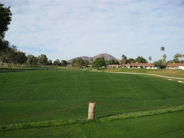 a large field with grass, and palm trees in the background
