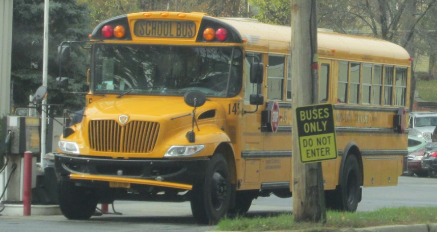 a large yellow school bus sitting in front of a tree