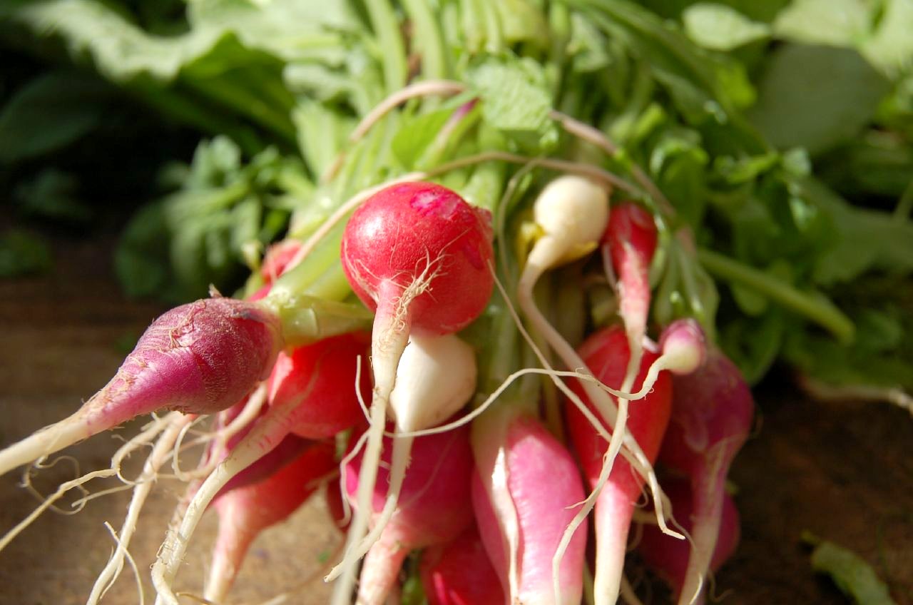 some green and red veggies are sitting on the counter