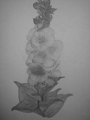 a pencil drawing of flowers and leaves on paper