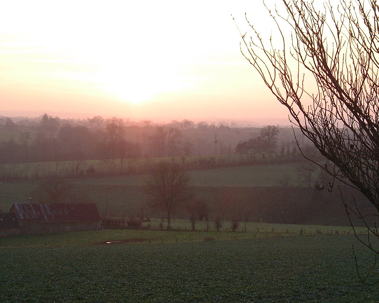 a bright yellow sun sets behind a field