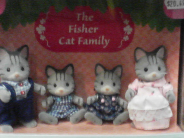 the cat family includes the kitty cat in a gift bag