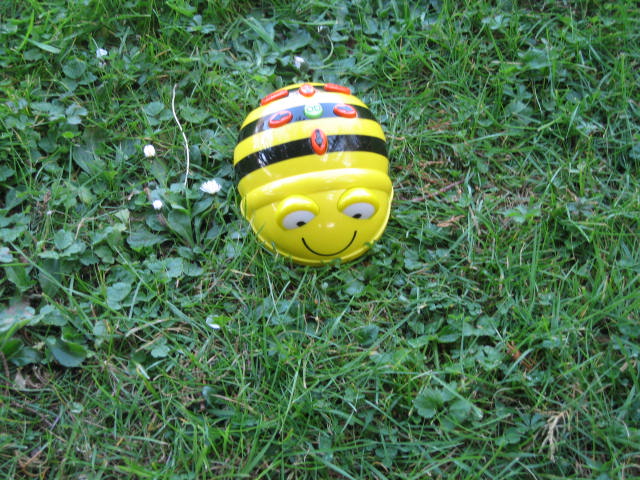 an adult rubber ball is sitting in the grass