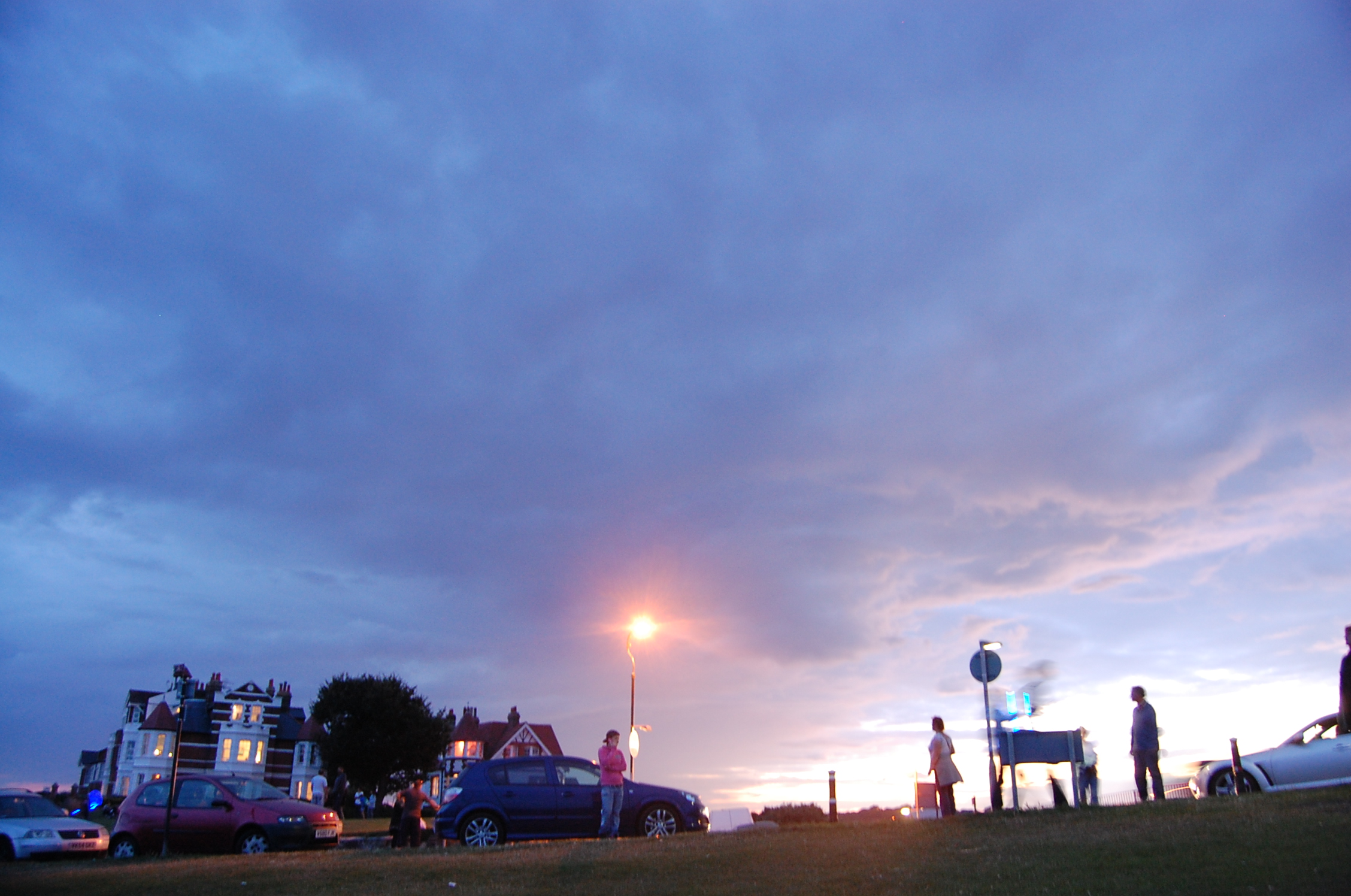 people standing on a grassy area at dusk