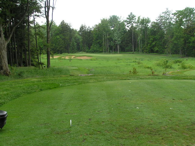 a golf green surrounded by trees and another hole