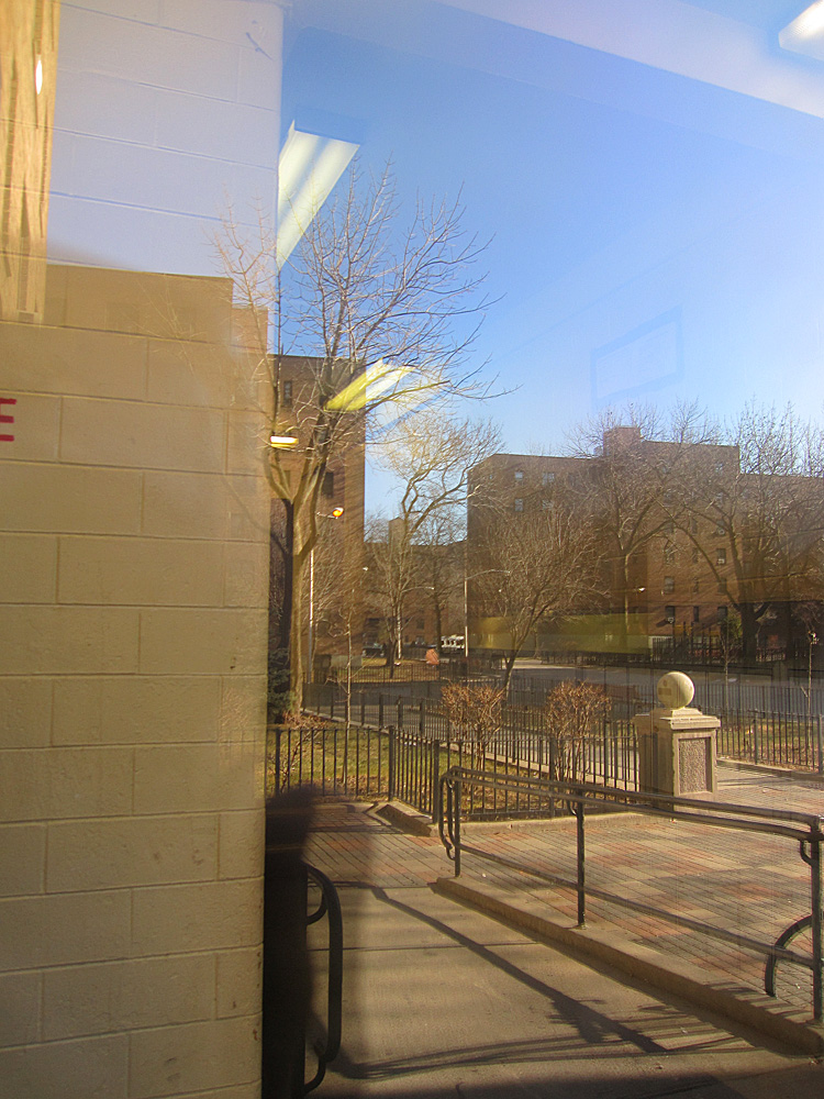 looking outside the glass in front of a city park