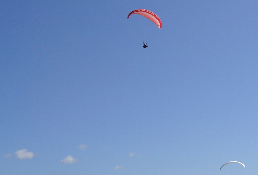 kites are being flown in the sky above a beach