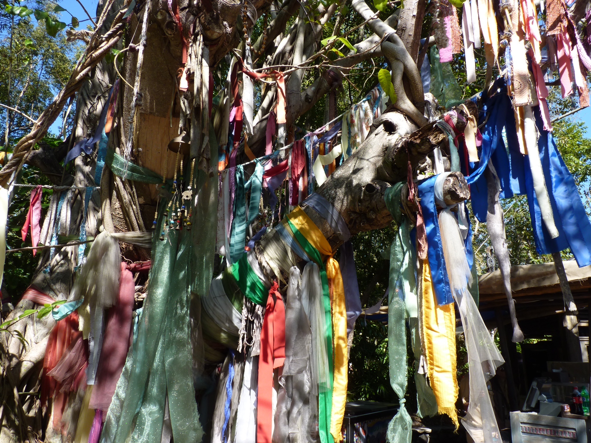 this is many ties on a tree outside