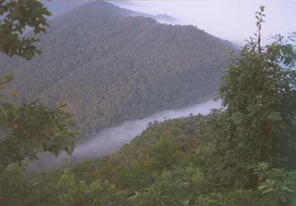 fog rolling over the hills and river in a forest