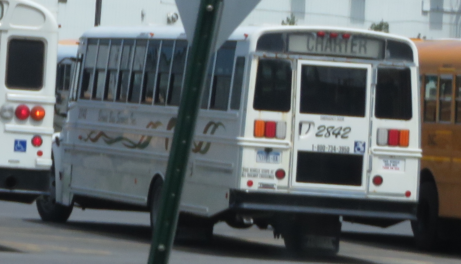 two public transit buses sit on the street