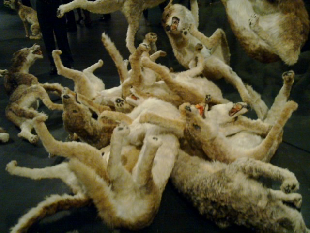 a bunch of dead animals that are lying on the ground