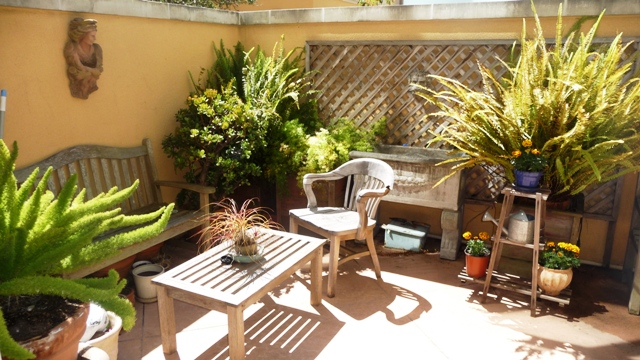 an empty patio with a bunch of potted plants