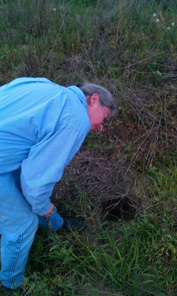 a man bends down in the grass to pick soing from the ground