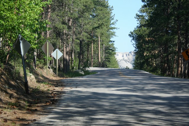a road with lots of trees along side it
