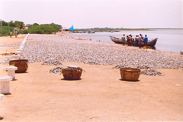 two canoes are in the water near rocks