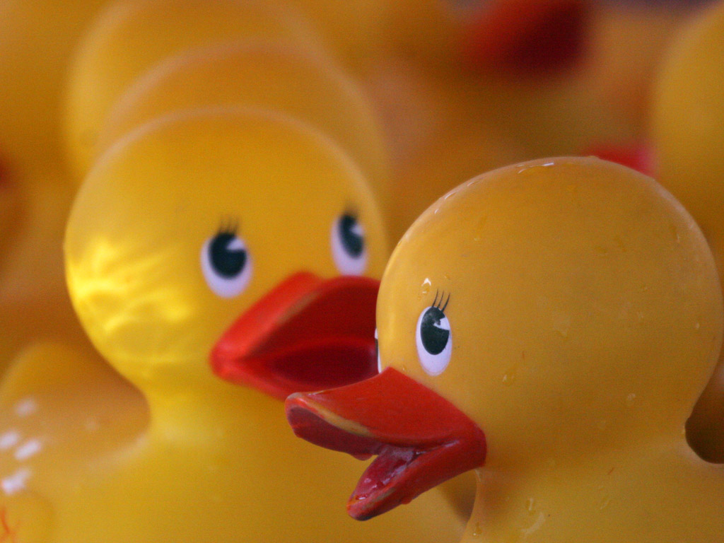 a group of yellow rubber ducks with faces on them