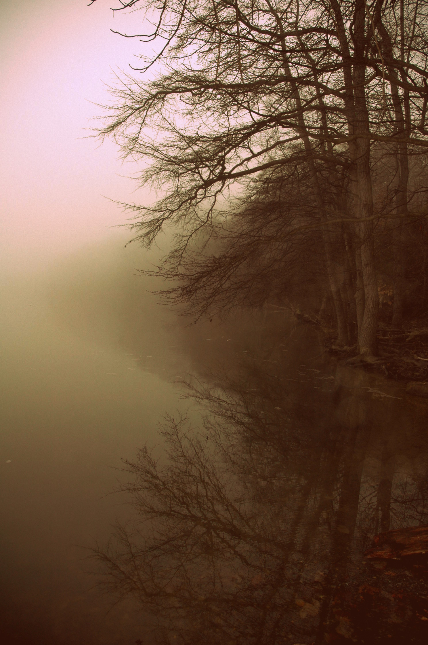 misty day with reflections in the water and trees